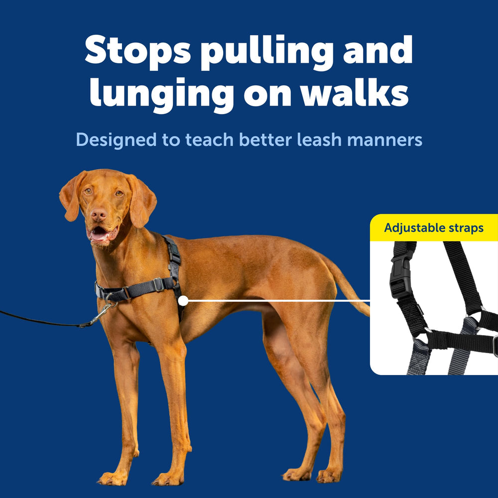 PetSafe Easy Walk: diseño transpirable para paseos largos y cómodos.