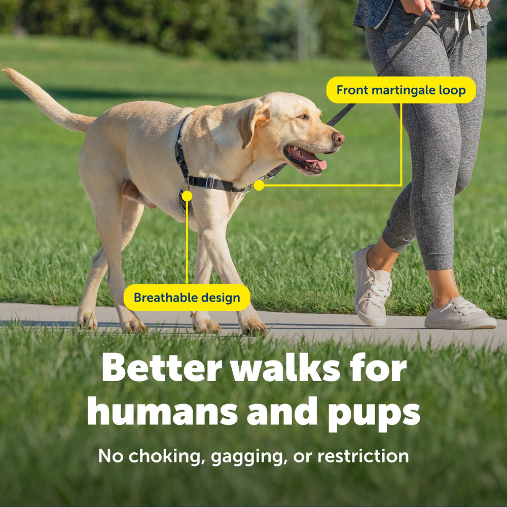 PetSafe Easy Walk: anclaje delantero para guiar sin tirar