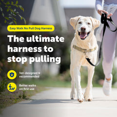 PetSafe Easy Walk: correas de confort ajustables para ajuste seguro