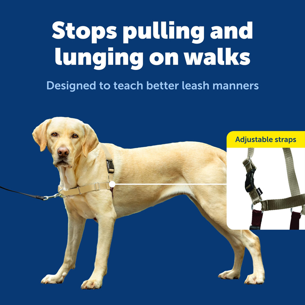 PetSafe Easy Walk: diseño transpirable para perro cómodo
