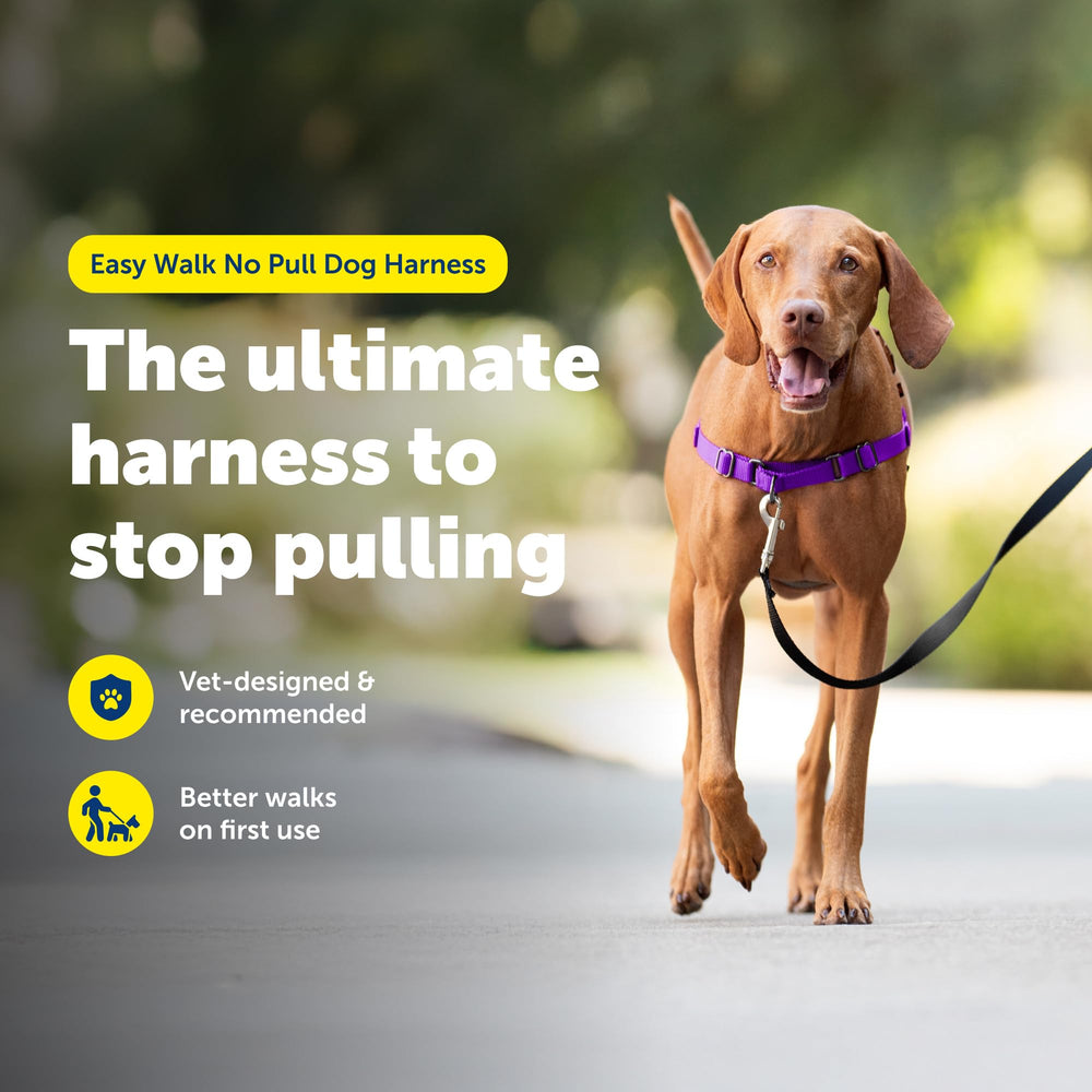 PetSafe Easy Walk Harness, tejido transpirable y ligero para caminar más fresco.