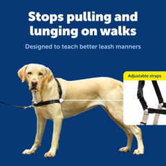 PetSafe Easy Walk Harness tejido transpirable mantiene al perro fresco durante paseos.