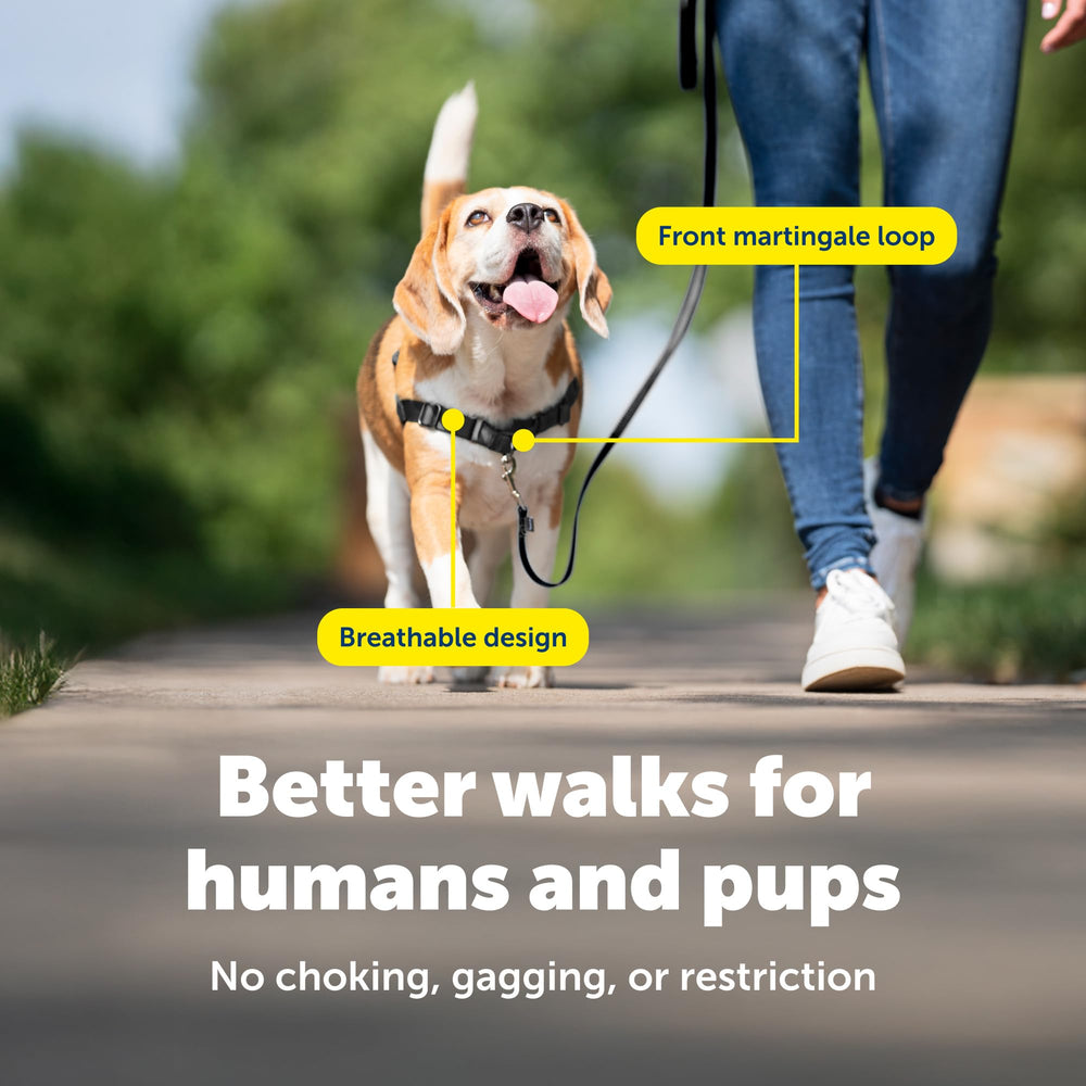 PetSafe Easy Walk punto de enganche delantero guía al perro naturalmente.