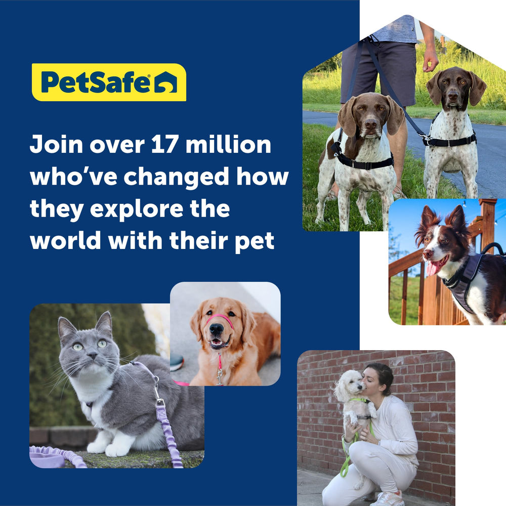 Tela ligera y transpirable de PetSafe Easy Walk para paseos prolongados.
