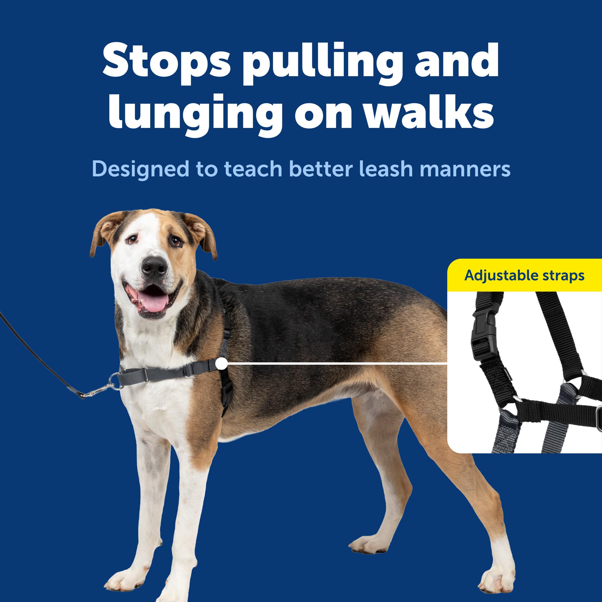 Tejido transpirable mantiene fresco al perro durante caminatas largas.
