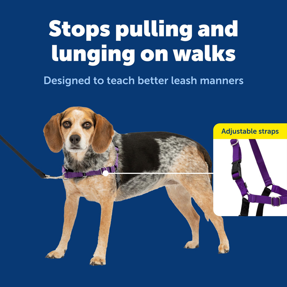 PetSafe Easy Walk tejido transpirable mantiene al perro fresco durante caminatas.