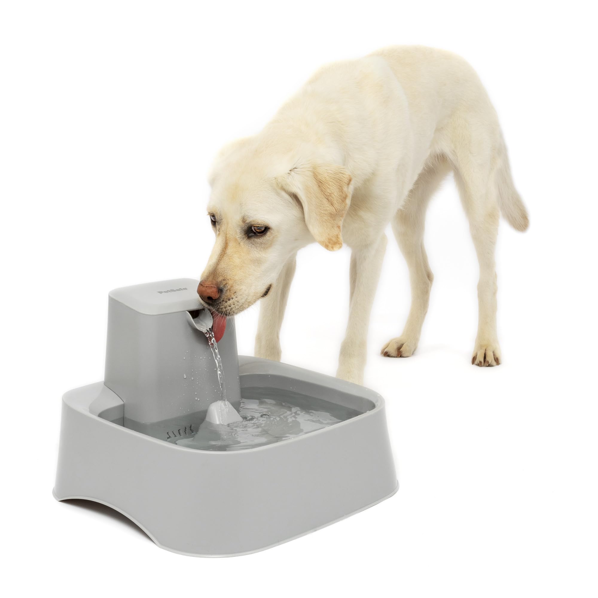 Fuente PetSafe gris con capacidad de 2 galones para perros y gatos, hidratación constante.