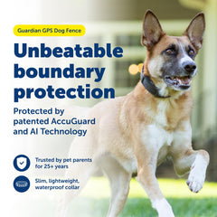 Aplicación My PetSafe para configurar límites desde casa.