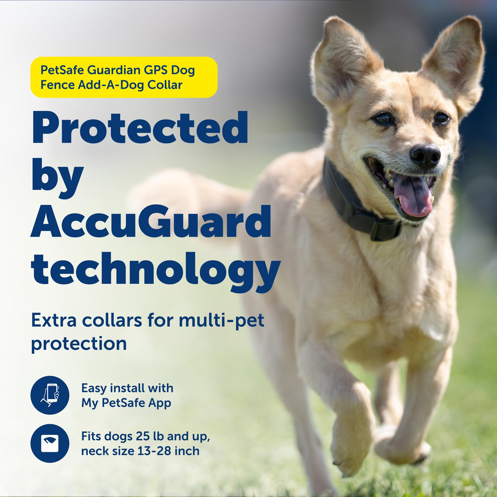 Collar PetSafe Guardian GPS: modos de entrenamiento para ajuste suave y versátil.