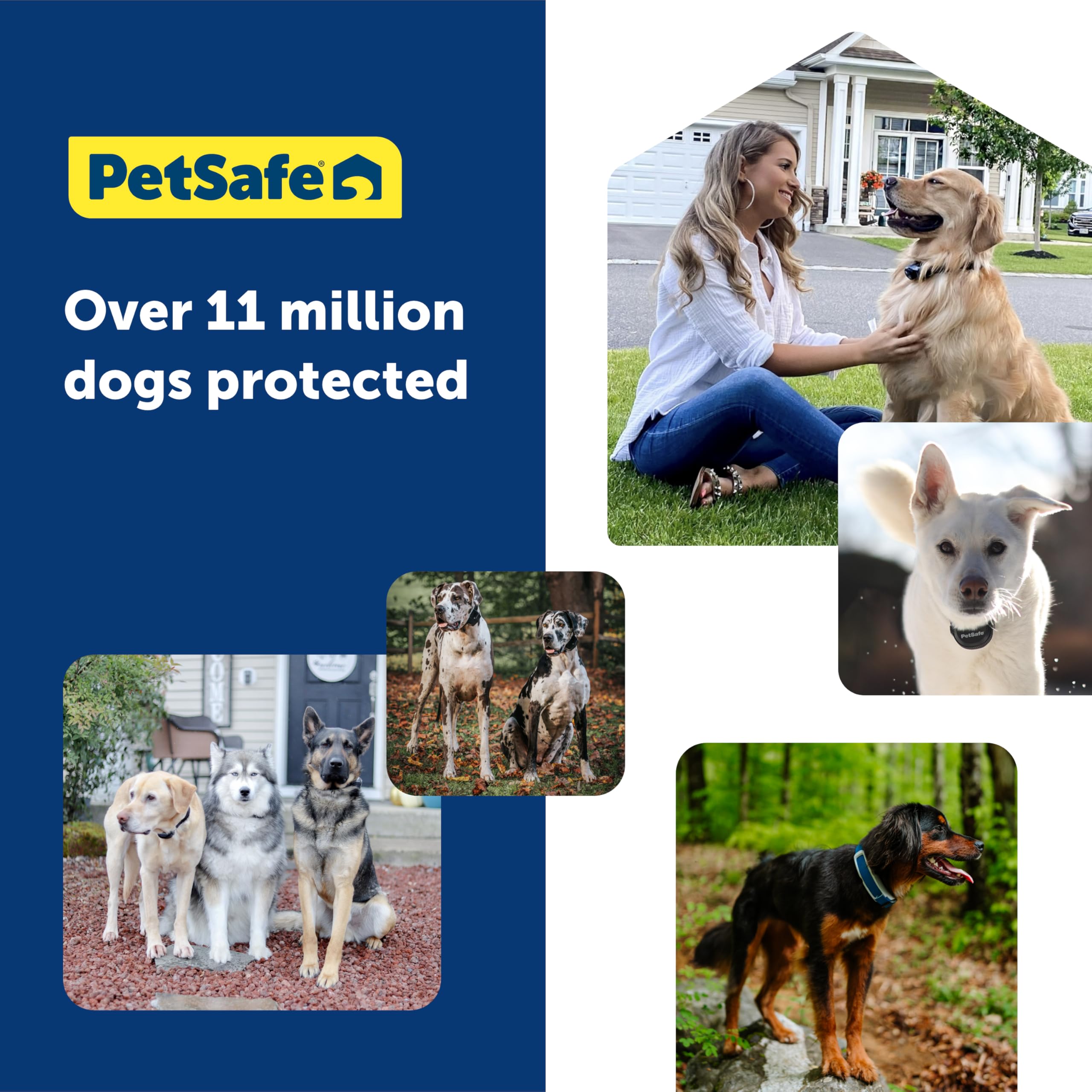 Collar resistente al agua para perros activos y juego al exterior.