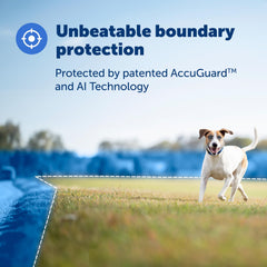 PetSafe Guardian GPS Collar trazabilidad en app: seguimiento en tiempo real para más tranquilidad.