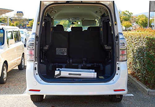 PetSafe Happy Ride Compact rampa telescópica, ahorro de espacio para transporte