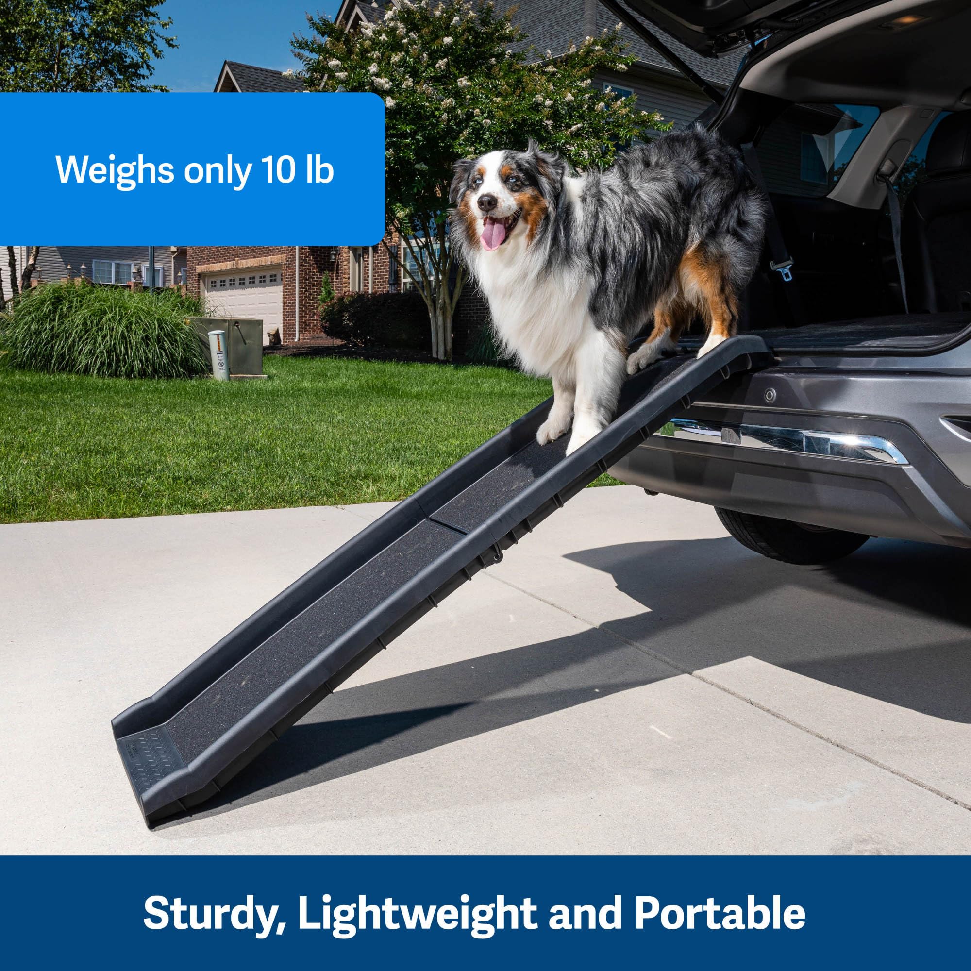 PetSafe Happy Ride diseño compacto para guardar en casa o coche