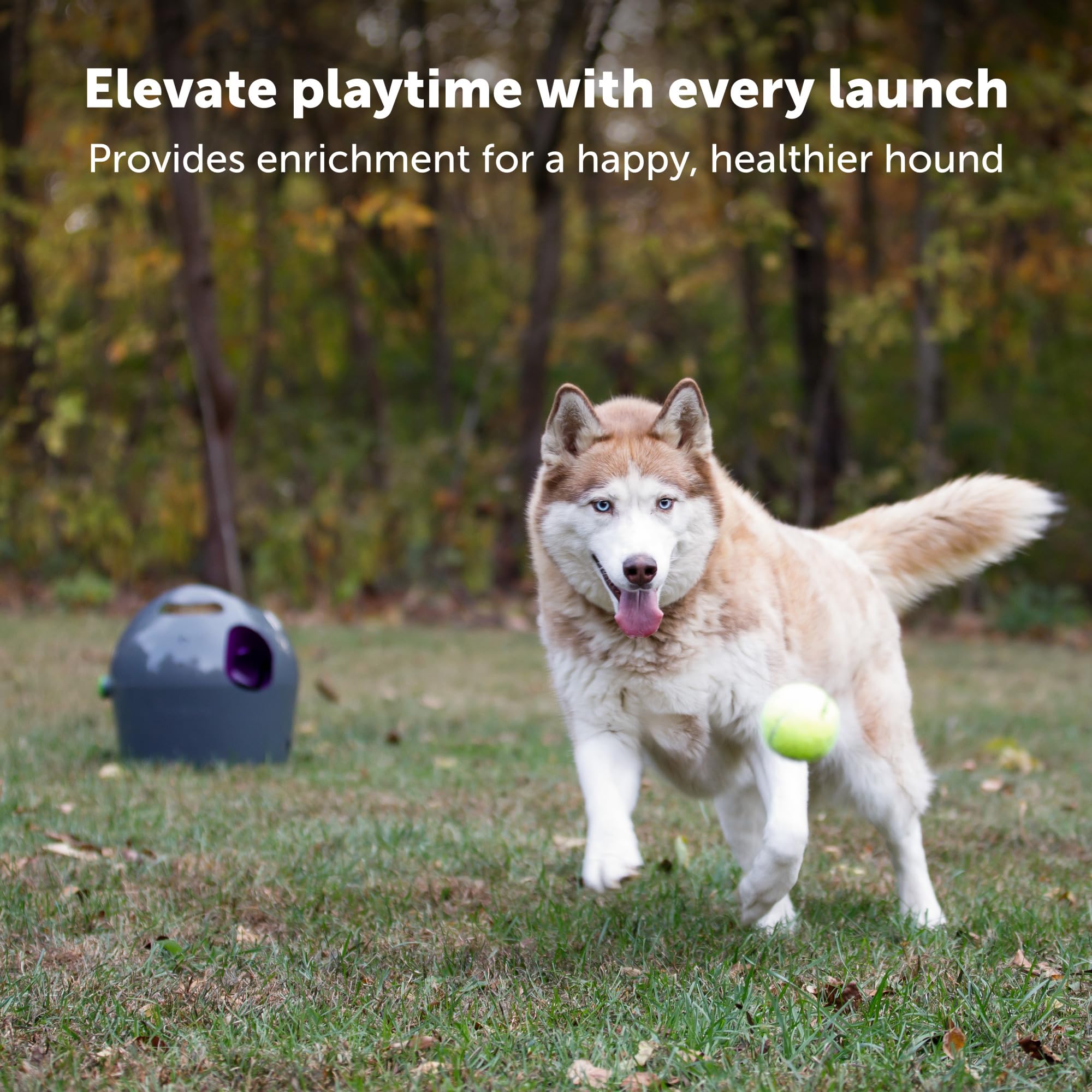PetSafe Ajuste de distancia para espacios pequeños y grandes