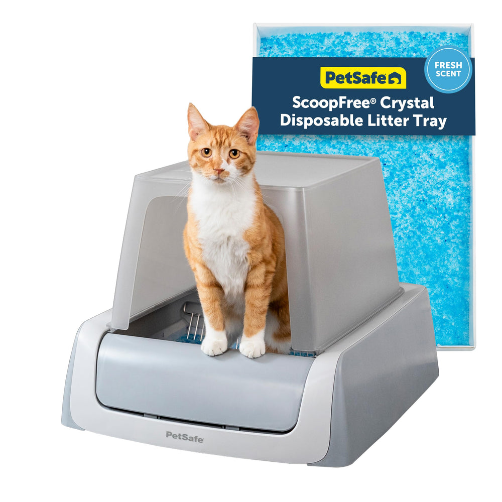 PetSafe Legacy ScoopFree Crystal Pro frente-entrada para limpieza automática.