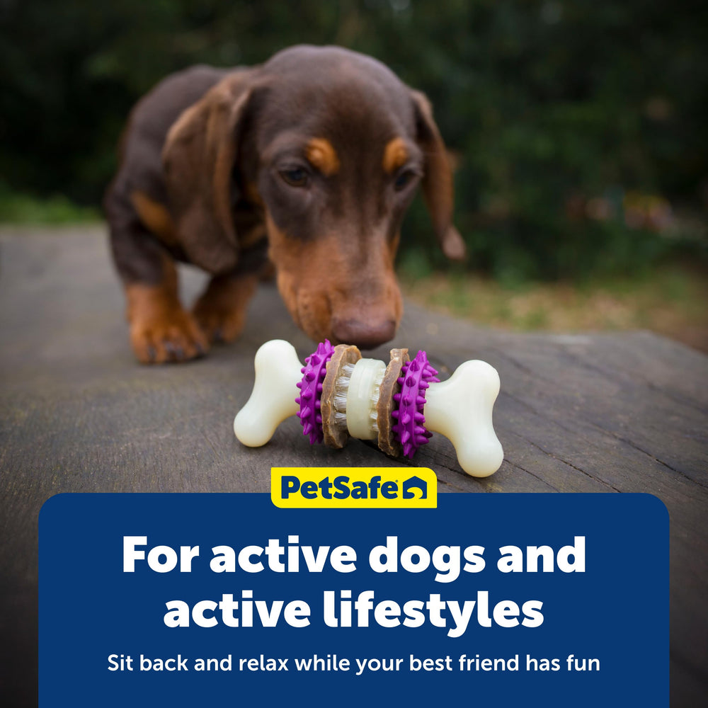 PetSafe Busy Buddy Bristle Bone ideal para juego interior y exterior enriquecido.