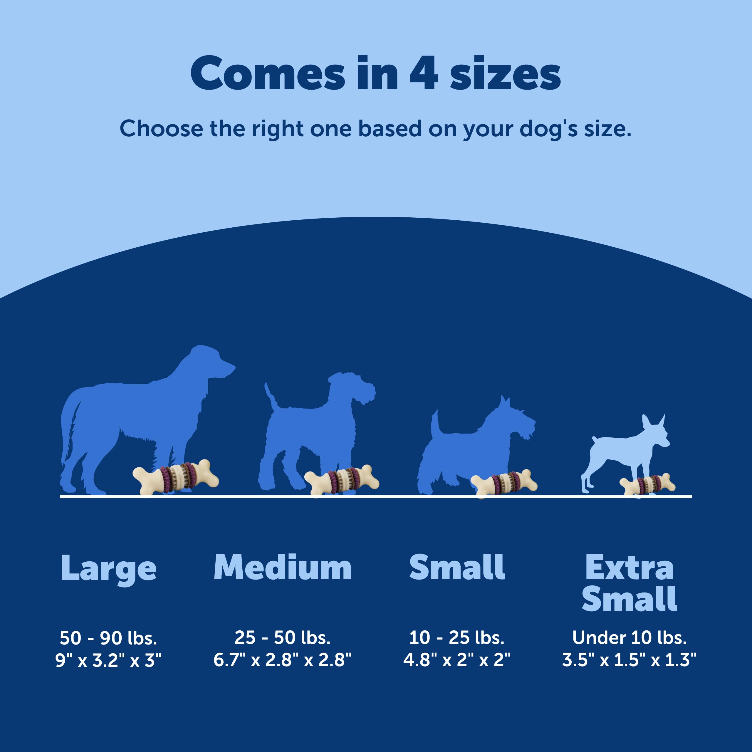 PetSafe Busy Buddy Bristle Bone disponible en cuatro tallas para todo tipo de perros.
