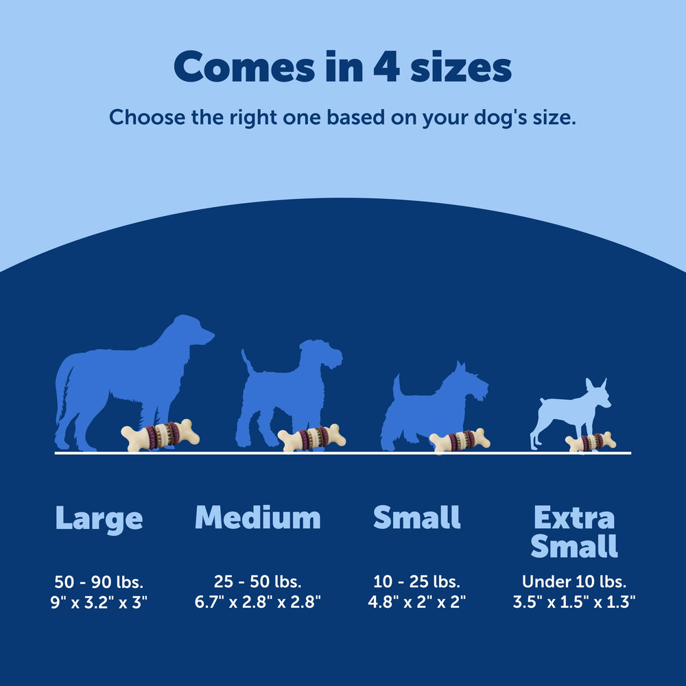 PetSafe Busy Buddy Bristle Bone disponible en cuatro tallas para todo tipo de perros.