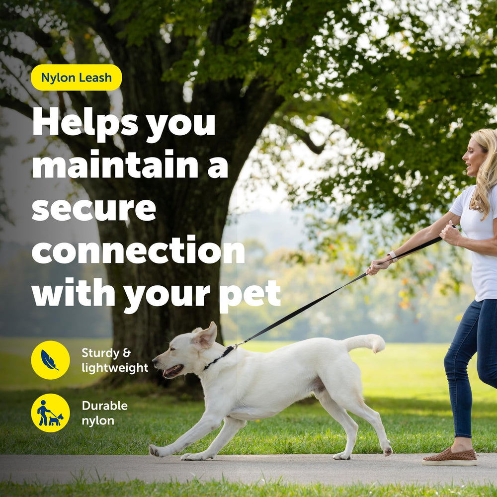 PetSafe correa de nailon, enganche rápido para colocar y quitar con facilidad.
