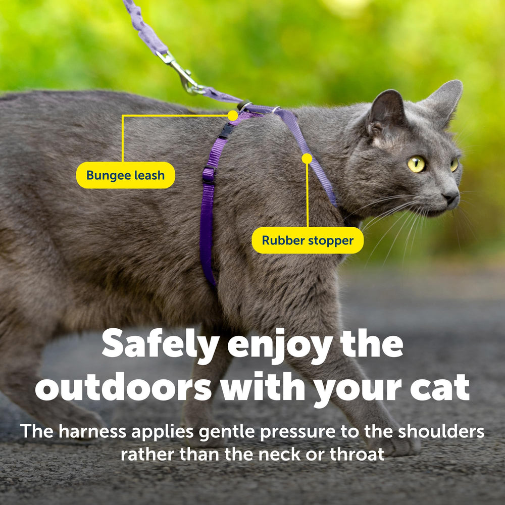 Nylon duradero y transpirable en arnés PetSafe para comodidad continua.