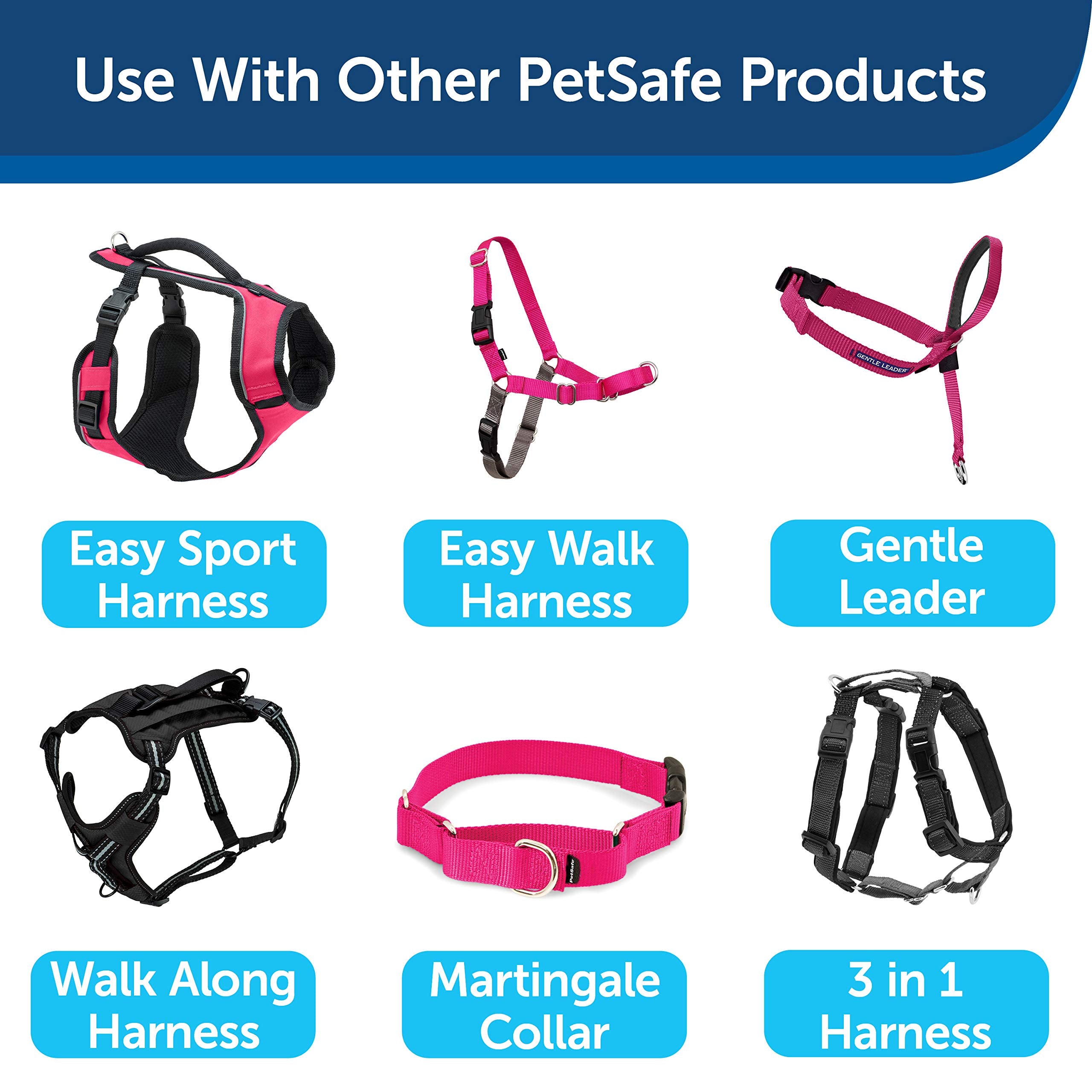 PetSafe: paseo confiable y duradero para la familia peluda.