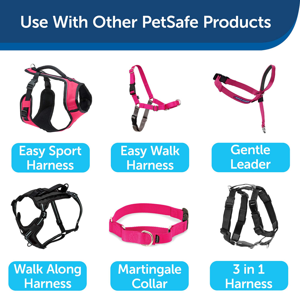 PetSafe: paseo confiable y duradero para la familia peluda.