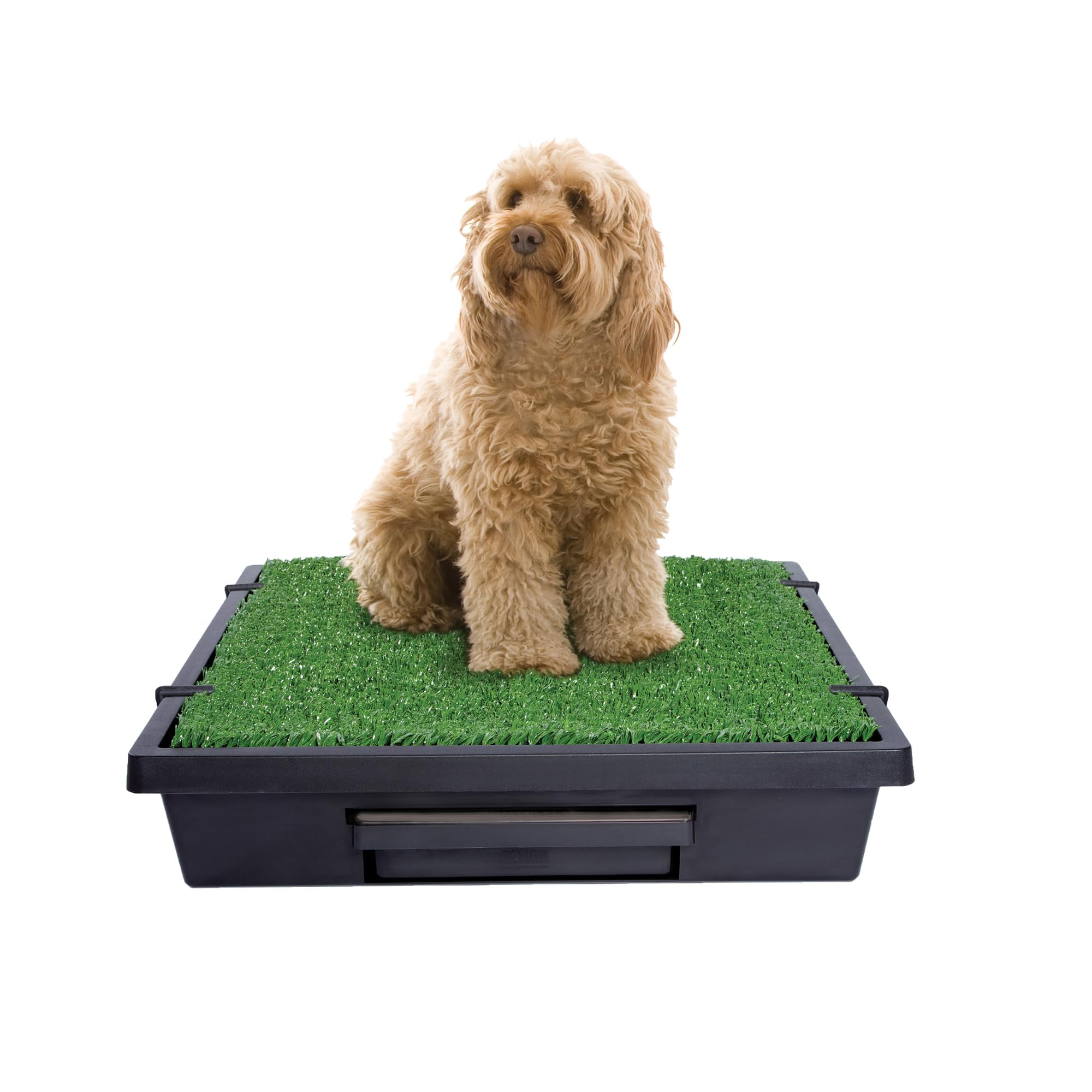 PetSafe Pet Loo con césped sintético para entrenamiento en casa.