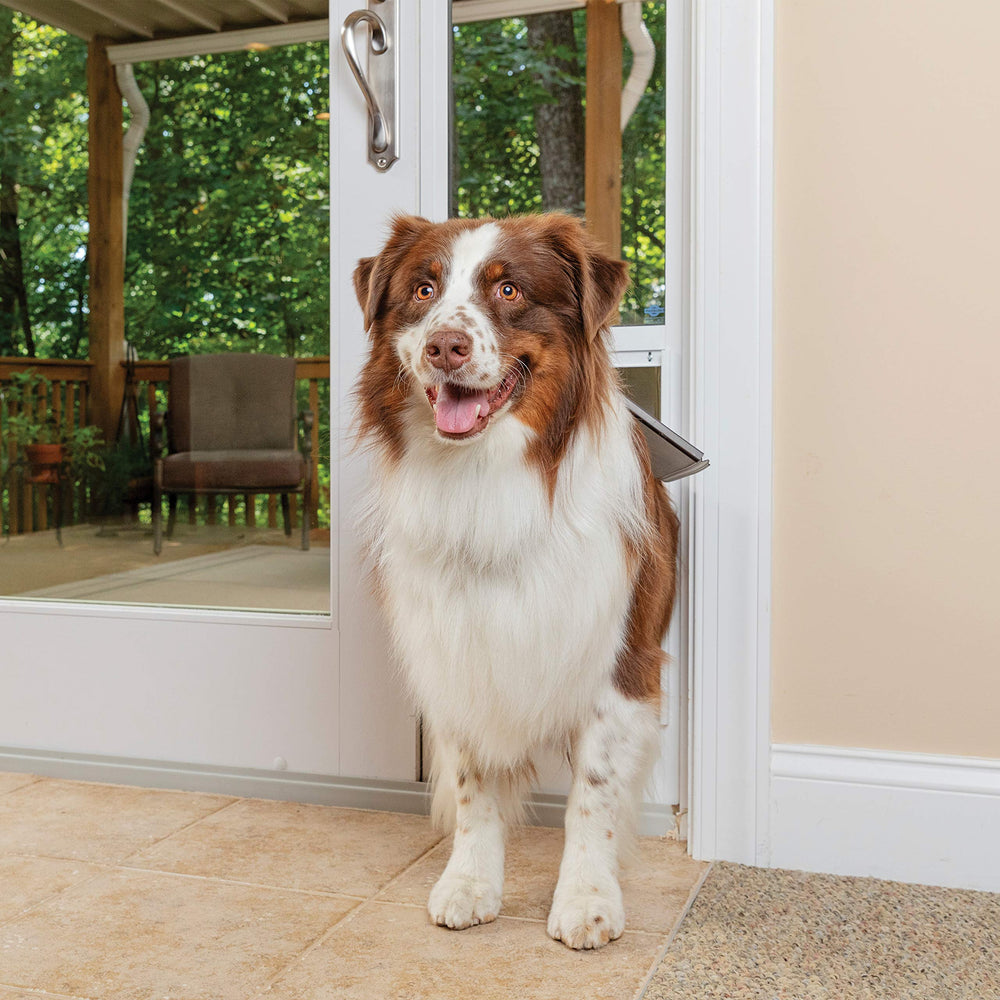 PetSafe puerta-mascota-vidrio-corredera detalle muestra marco de aluminio resistente.