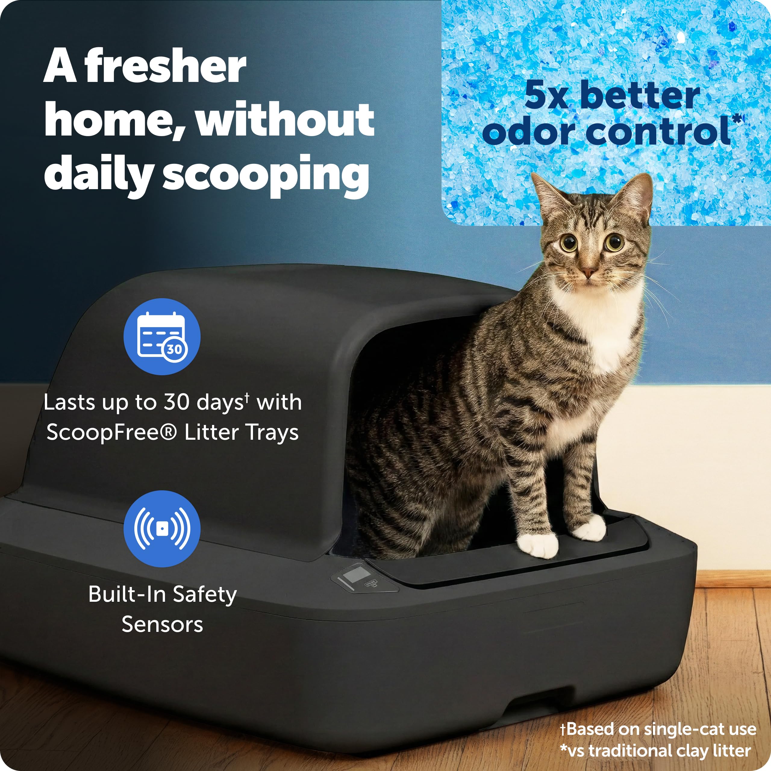 PetSafe ScoopFree Crystal Pro, interior mostrando limpieza automática sin trabajo diario.