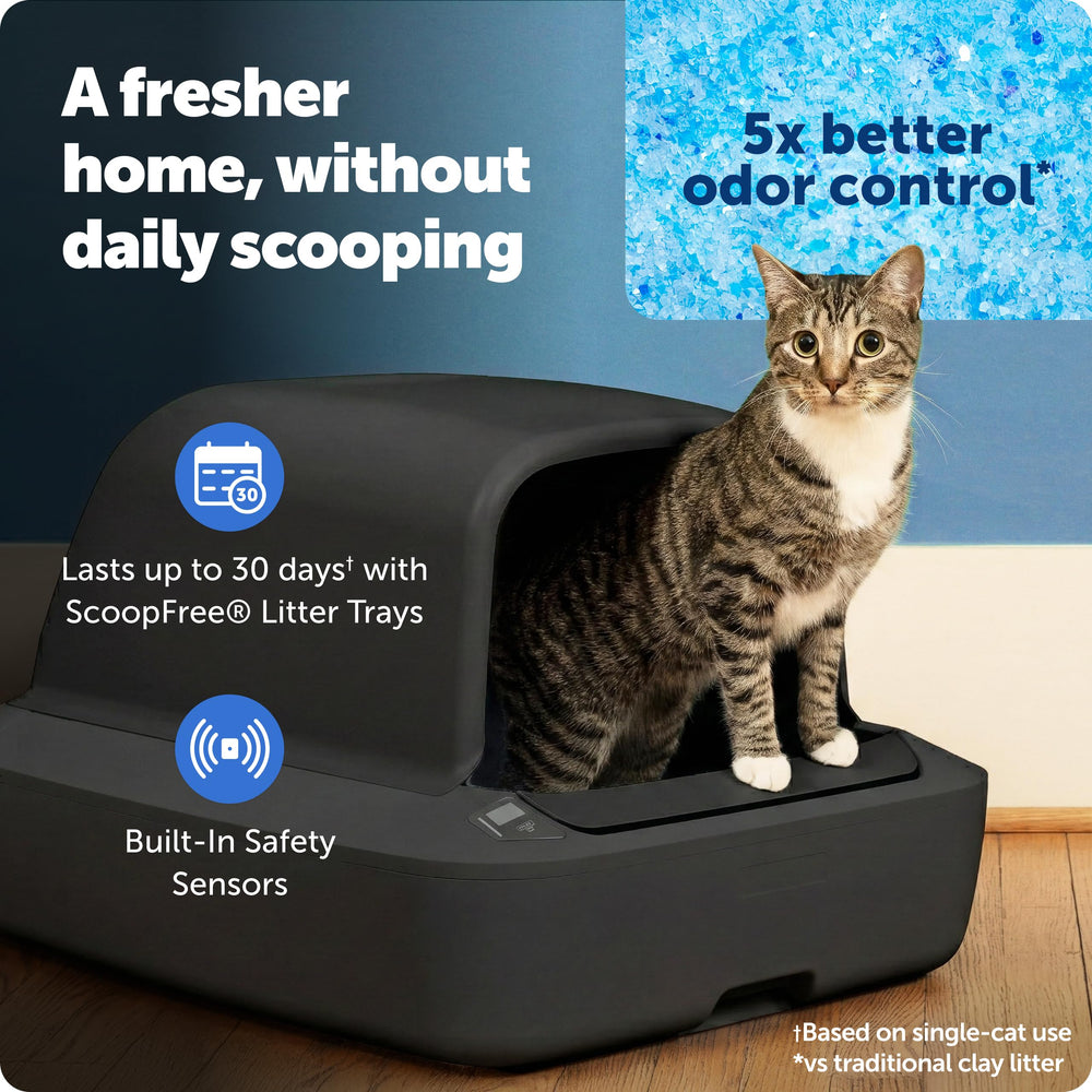 PetSafe ScoopFree Crystal Pro, interior mostrando limpieza automática sin trabajo diario.