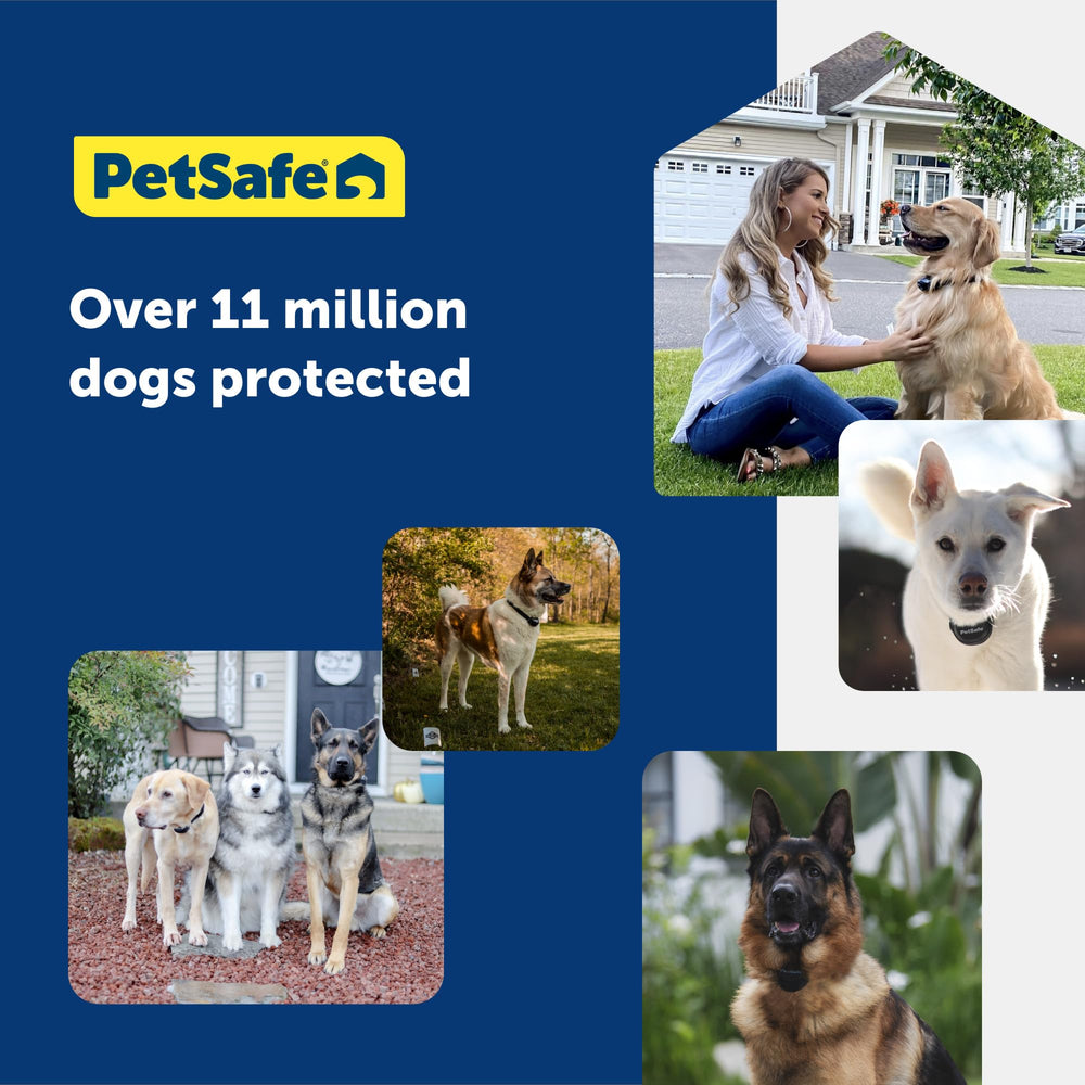 Sistema PetSafe para múltiples perros en un solo perímetro