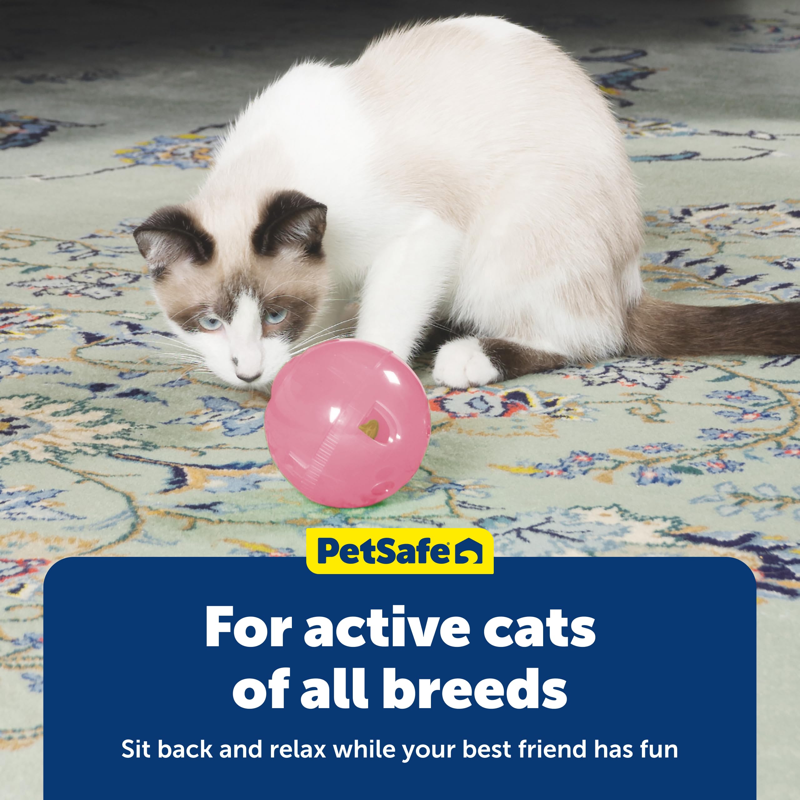 PetSafe SlimCat para gatos de interior, ideal para aumentar movimiento diario.