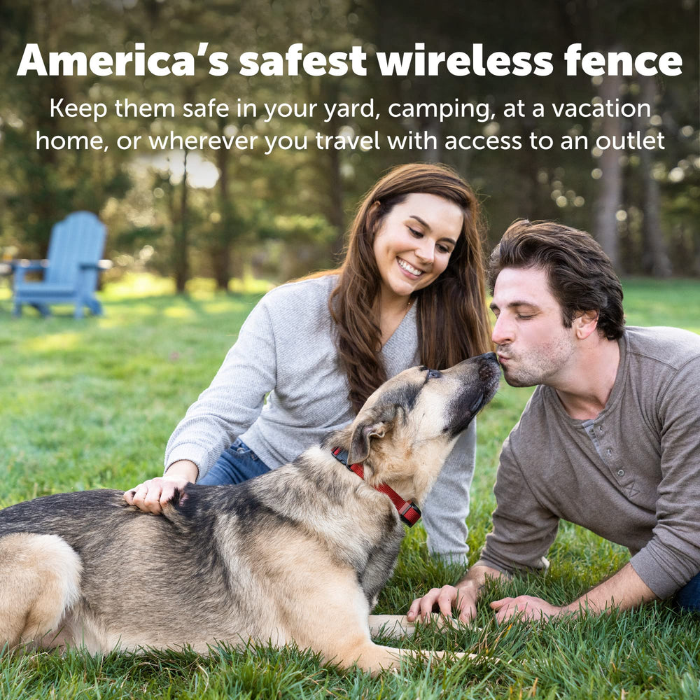PetSafe Stay & Play collar recargable con indicador de batería para tranquilidad.