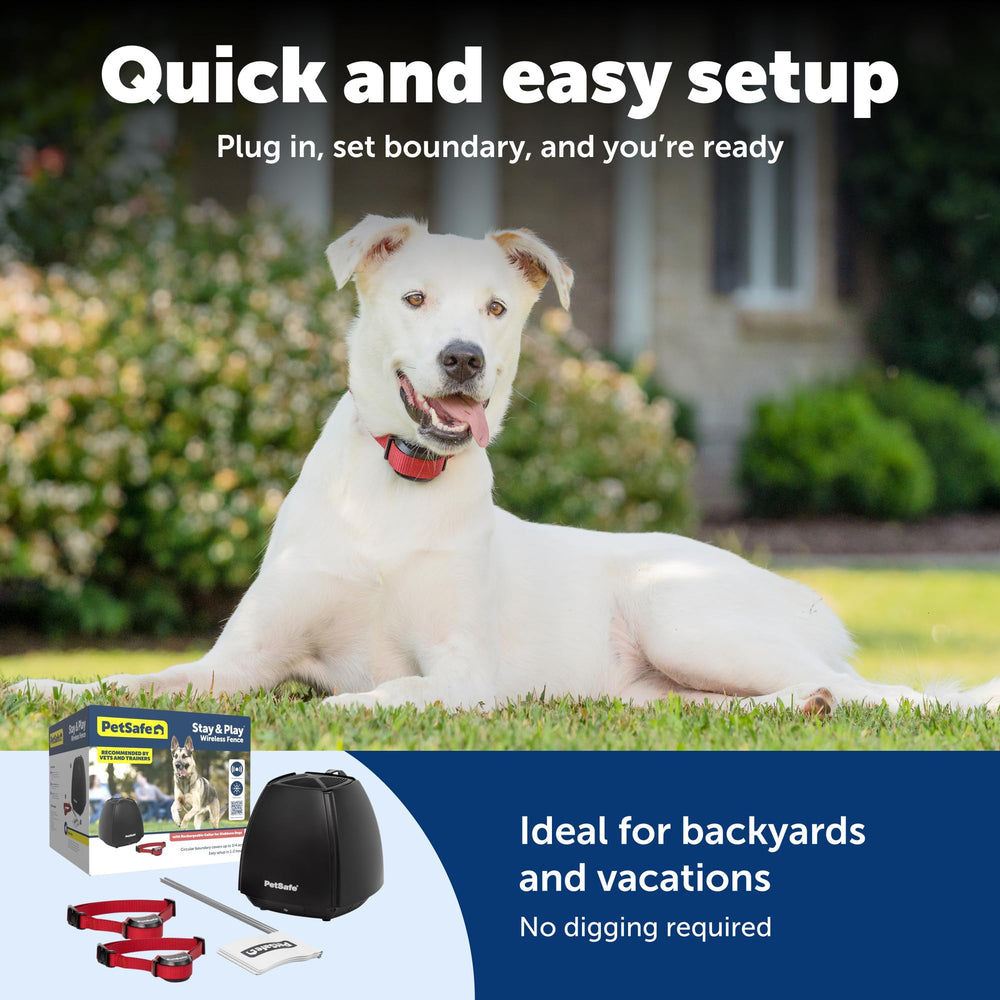 PetSafe Stay & Play Collar con ajuste de cuello 6-28 pulgadas.