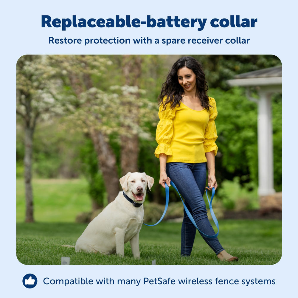 PetSafe Stay & Play collar con batería incluida, mantenimiento sencillo.