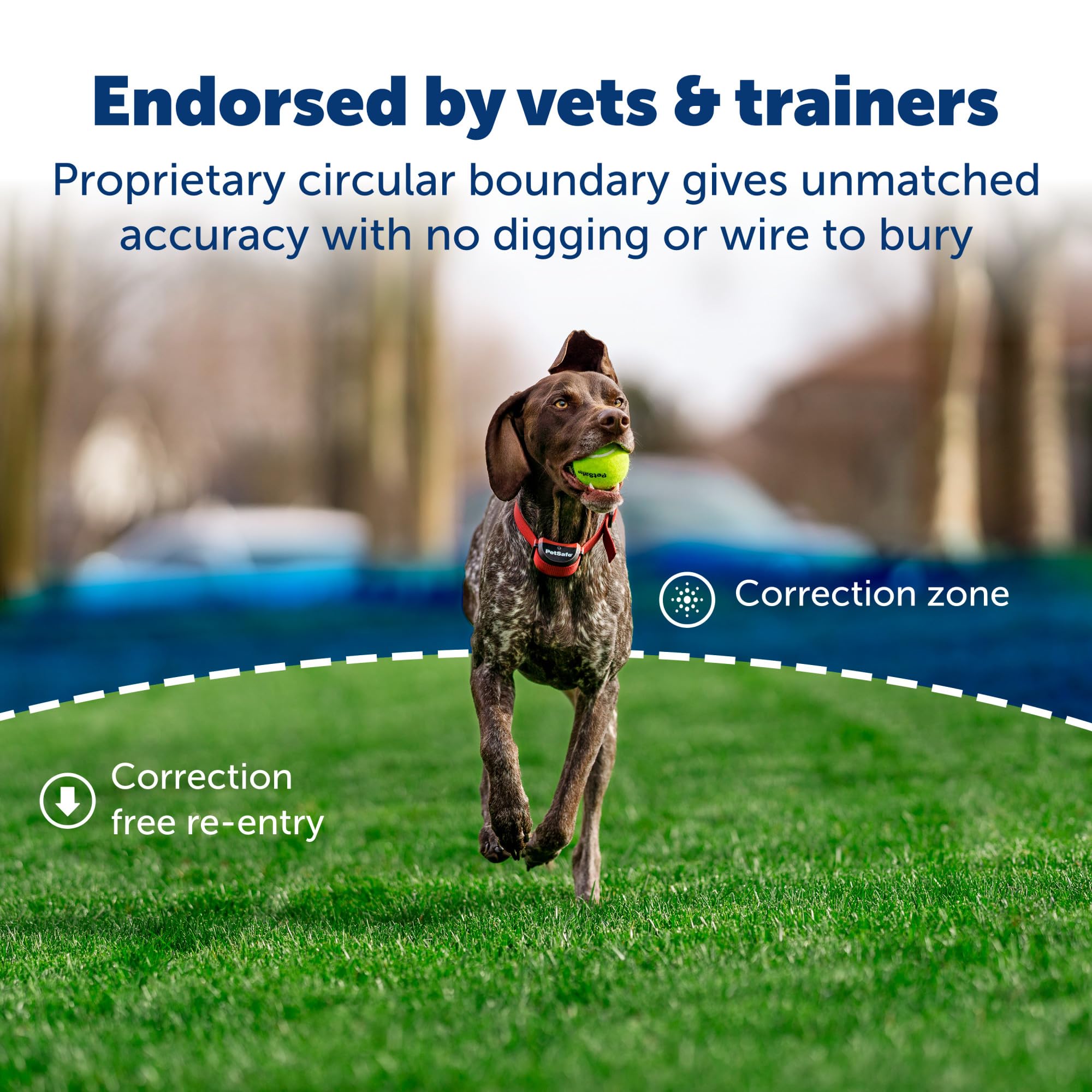 Collar receptor impermeable y recargable para perros activos