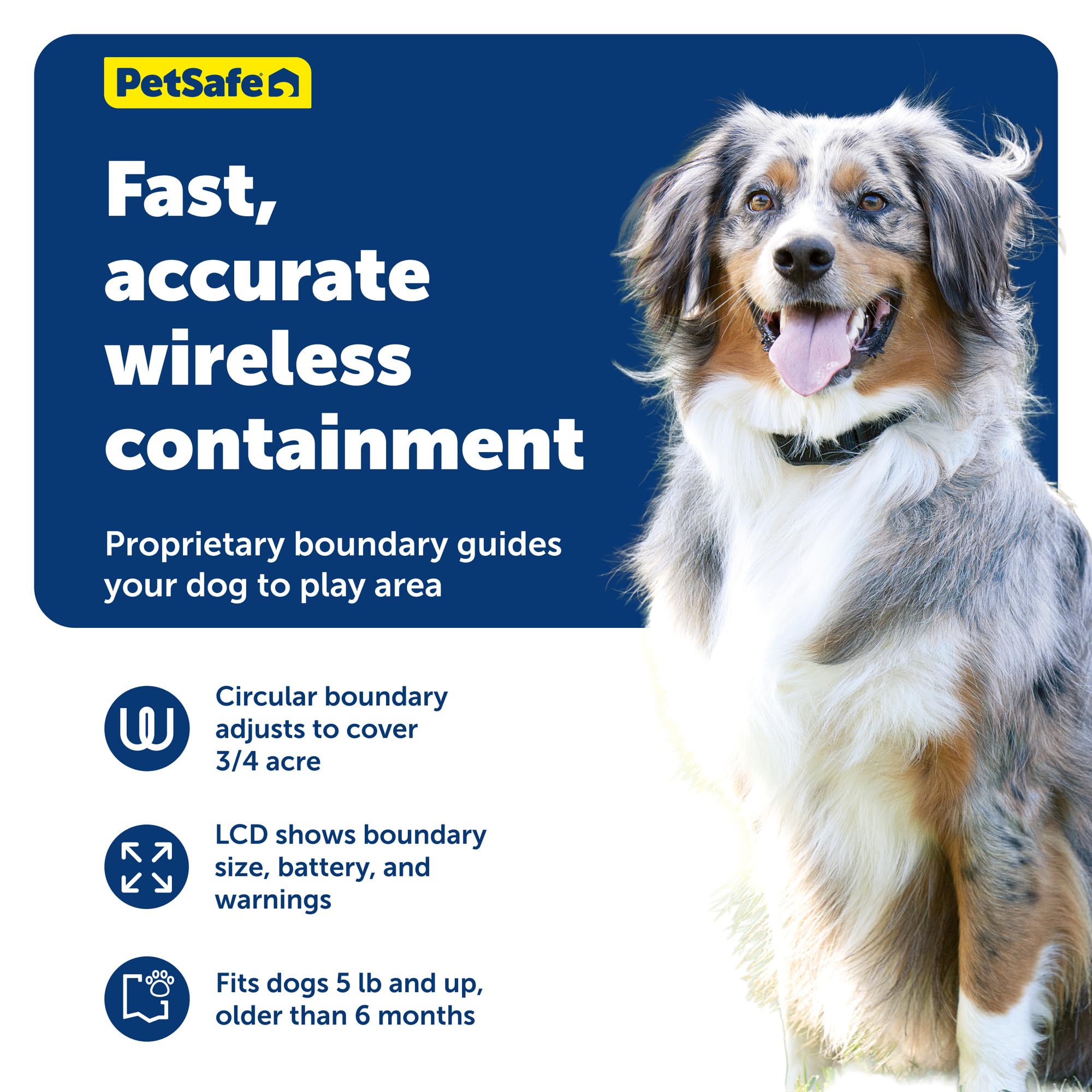 PetSafe Stay and Play: collar receptor impermeable para uso diario