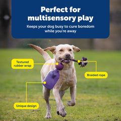 PetSafe Tug-A-Jug estimula la mente y los sentidos durante el juego