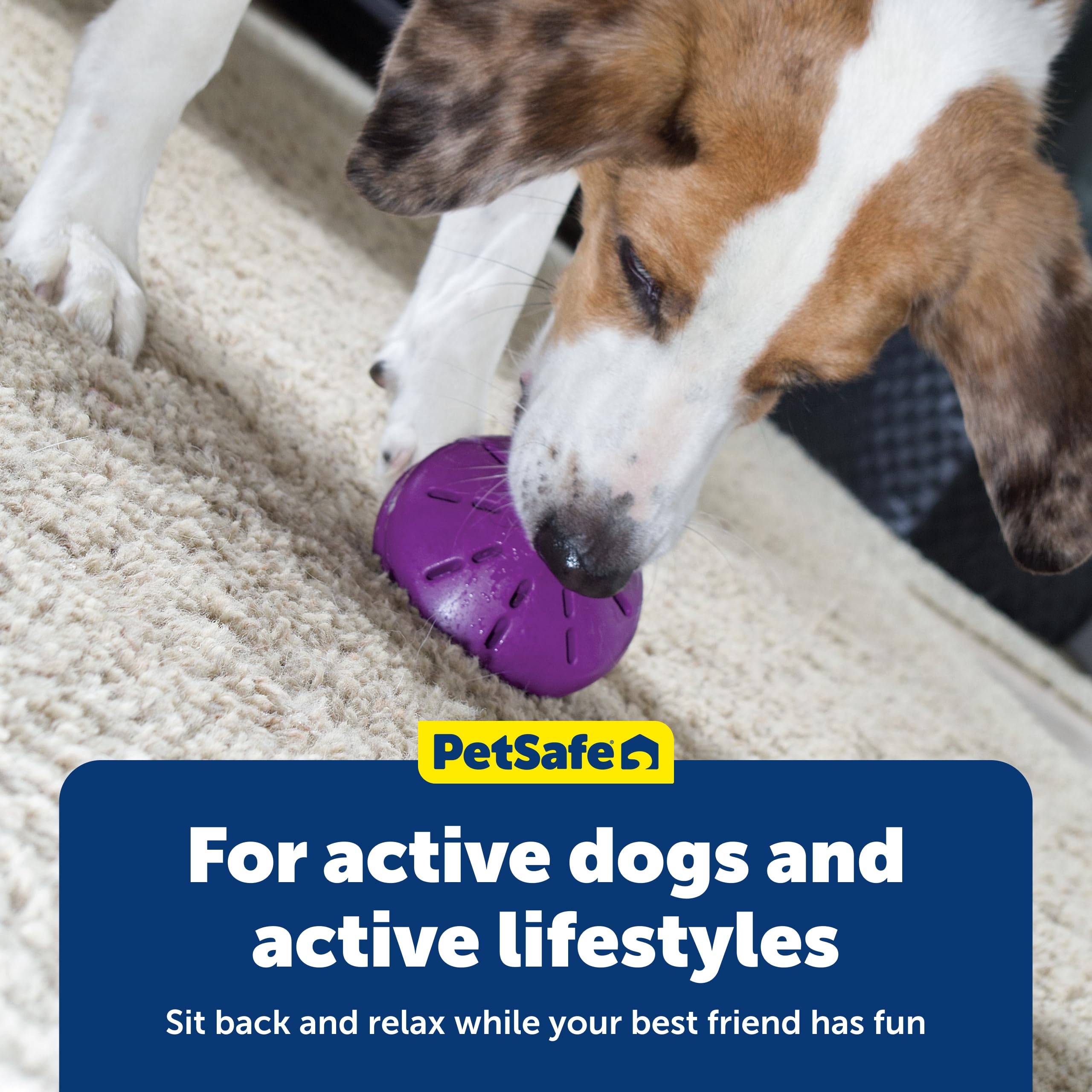 Ideal para perros pequeños hasta 9 kg.