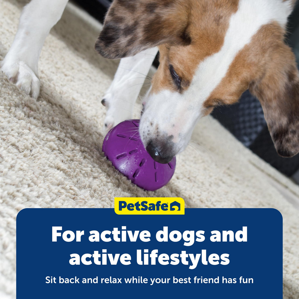 PetSafe Twist'n Treat: perfecto para entrenamiento y refuerzo durante el día.