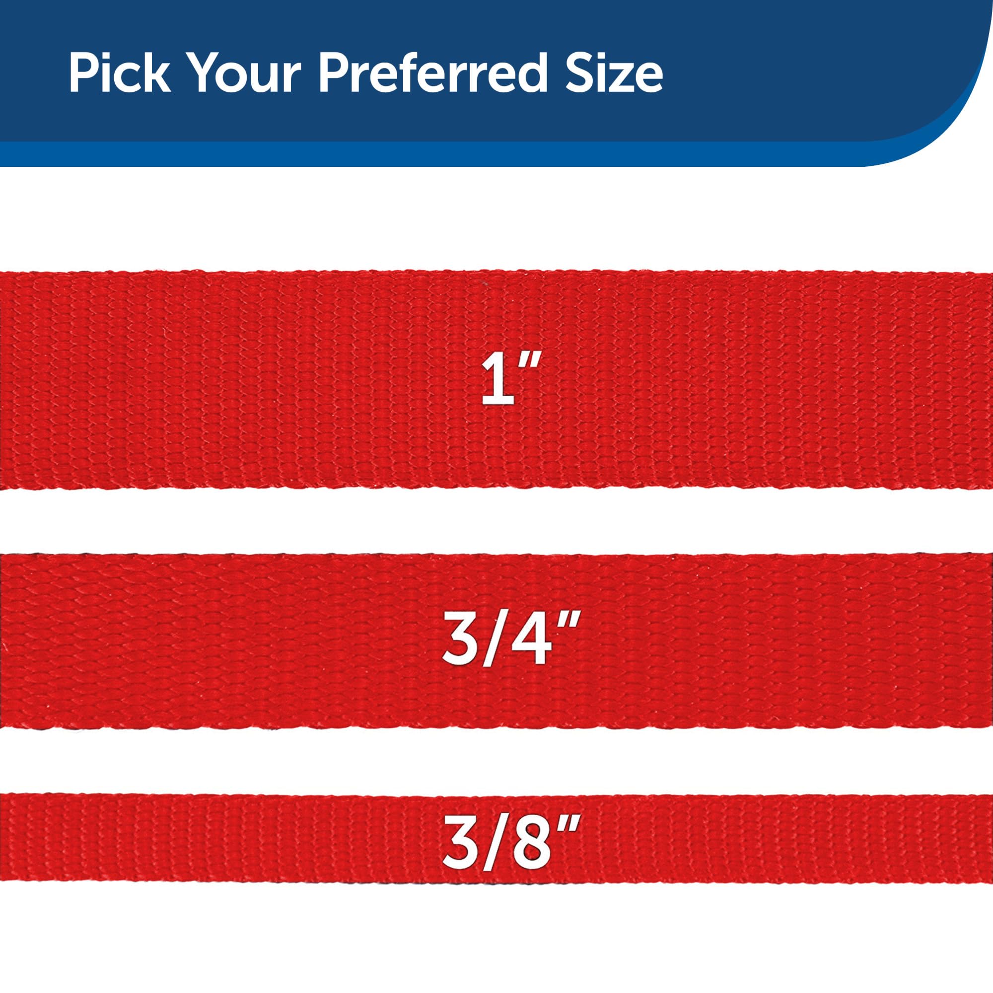 PetSafe correa nylon en colores variados, para combinar con estilo.