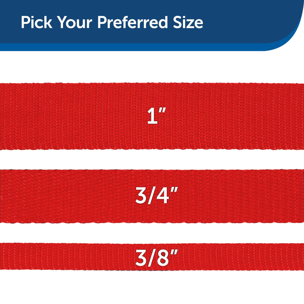 PetSafe correa nylon en colores variados, para combinar con estilo.