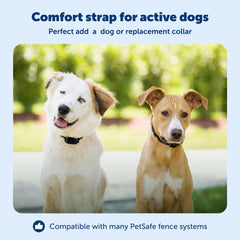 PetSafe YardMax collar cargando batería en 2-3 horas para uso prolongado.