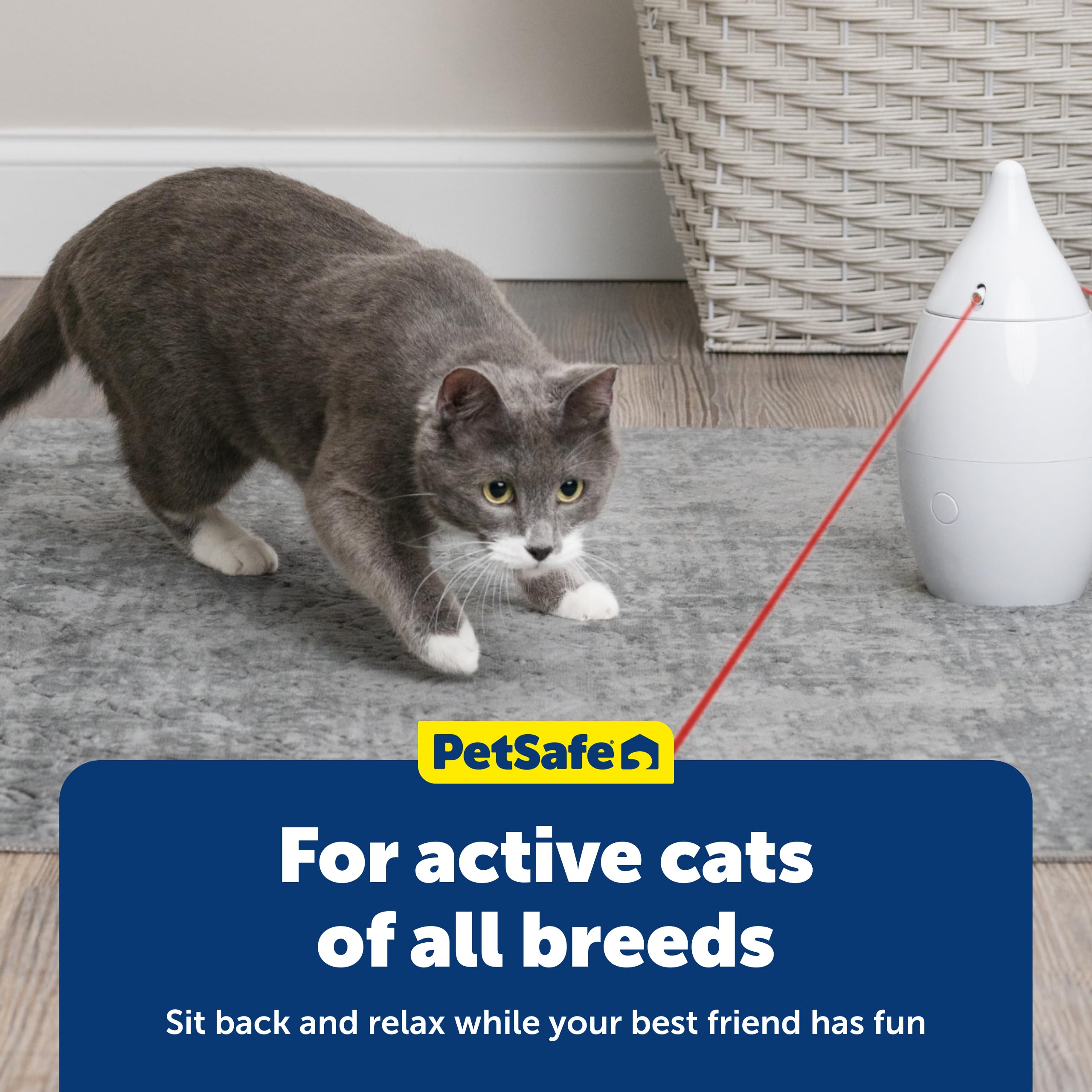 PetSafe Zoom funciona con tres pilas AA, sin cables.