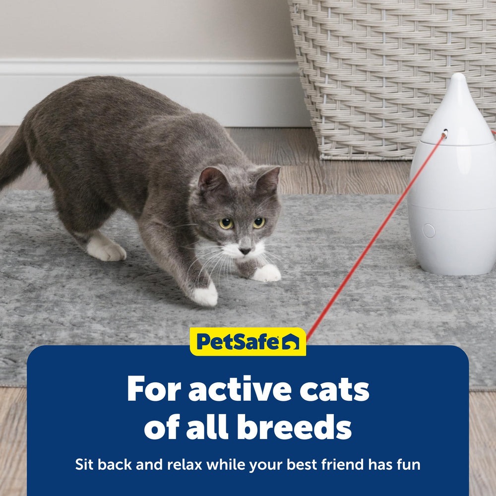 PetSafe Zoom funciona con tres pilas AA, sin cables.