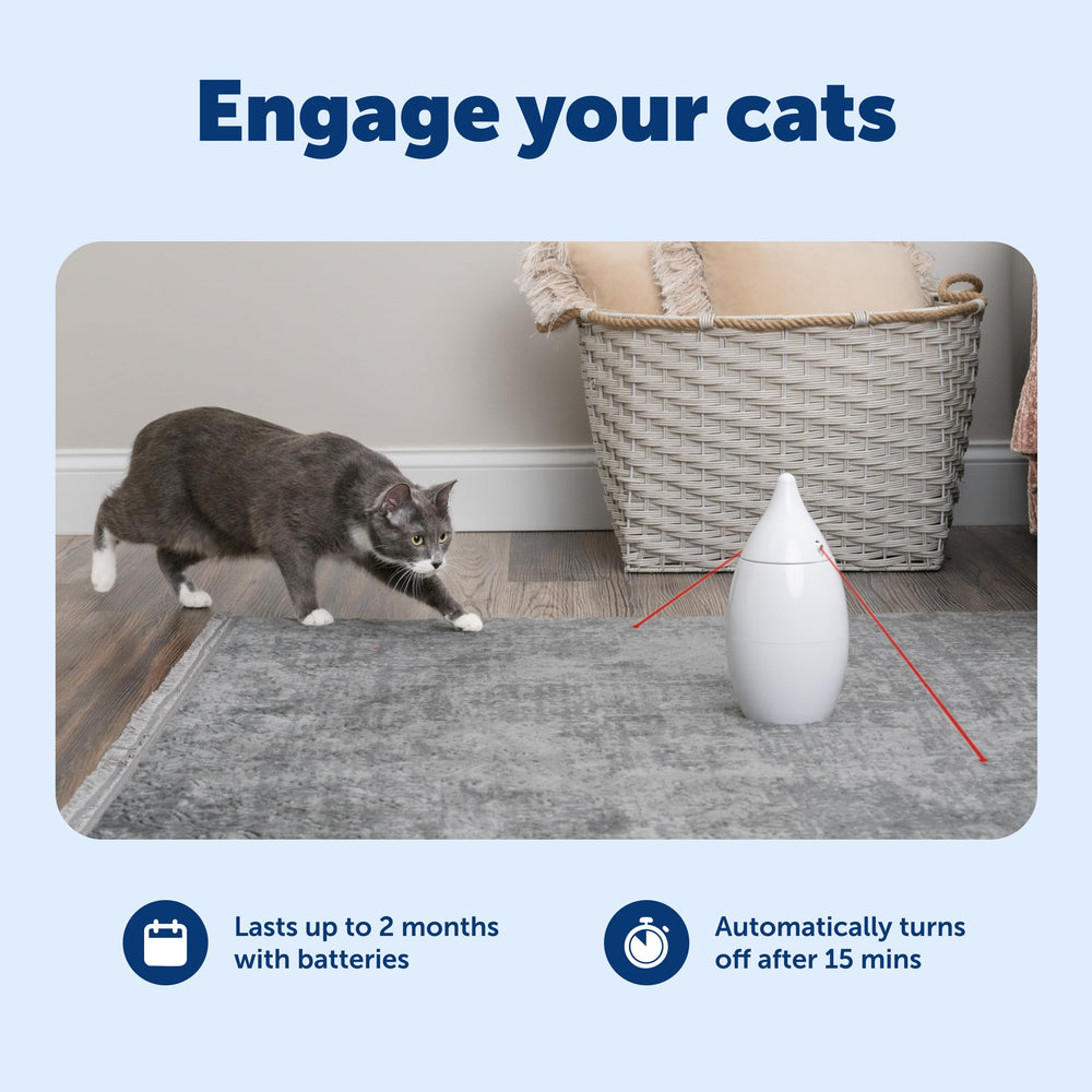 Funcionamiento silencioso del PetSafe Zoom para gatos tímidos.