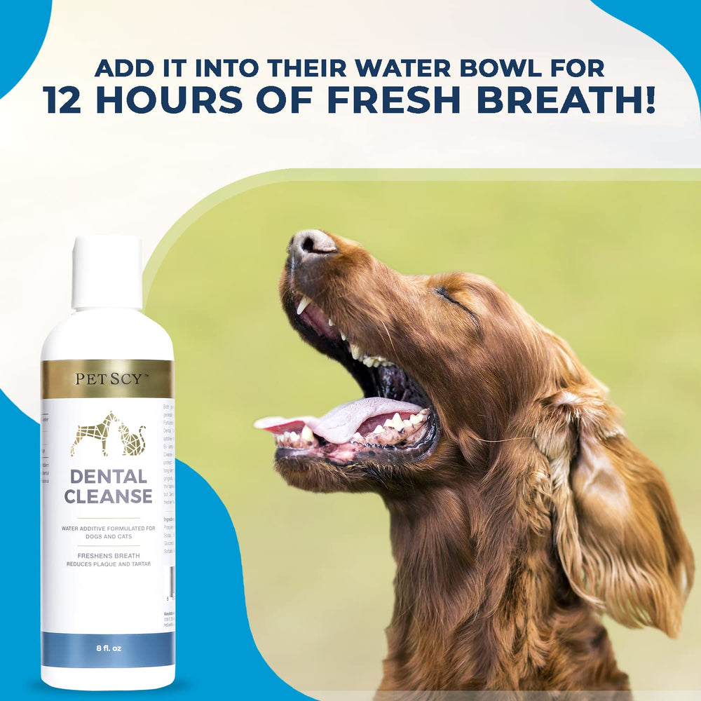Petscy Dental Cleanse copa medidora lista para dosis en agua de tu mascota.