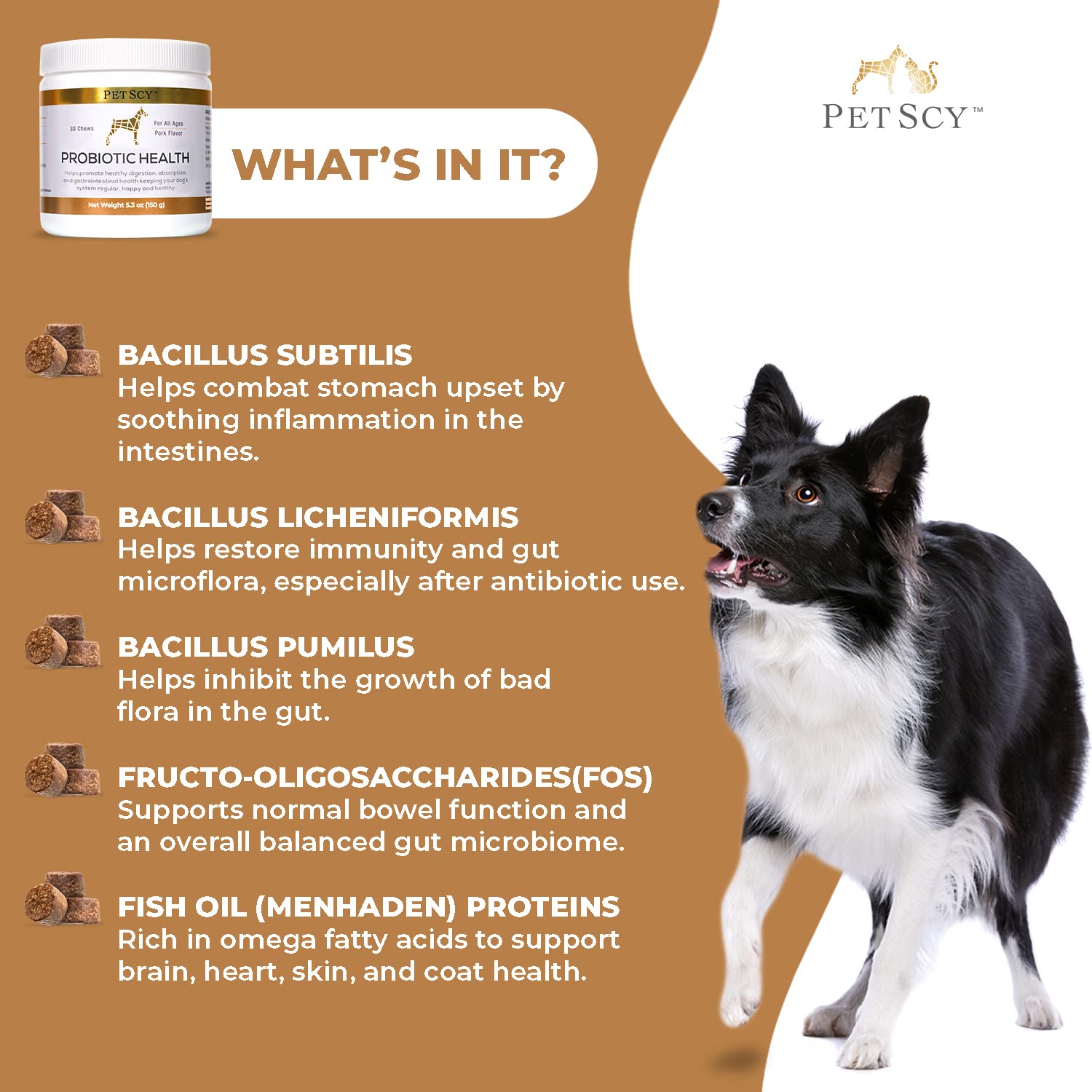 PetScy gominas probióticas fortalecen la inmunidad y la salud general del perro.