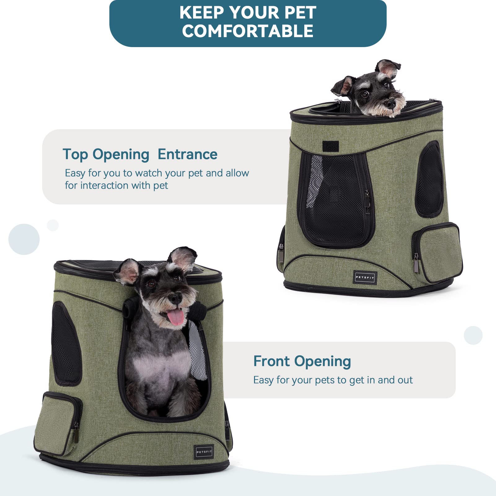 Petsfit perfecto para paseos y salidas al aire libre