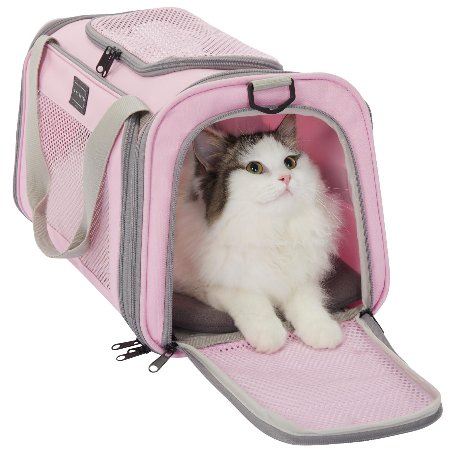 Petsfit transportín para gato aprobado por aerolíneas, cabe bajo el asiento para vuelos
